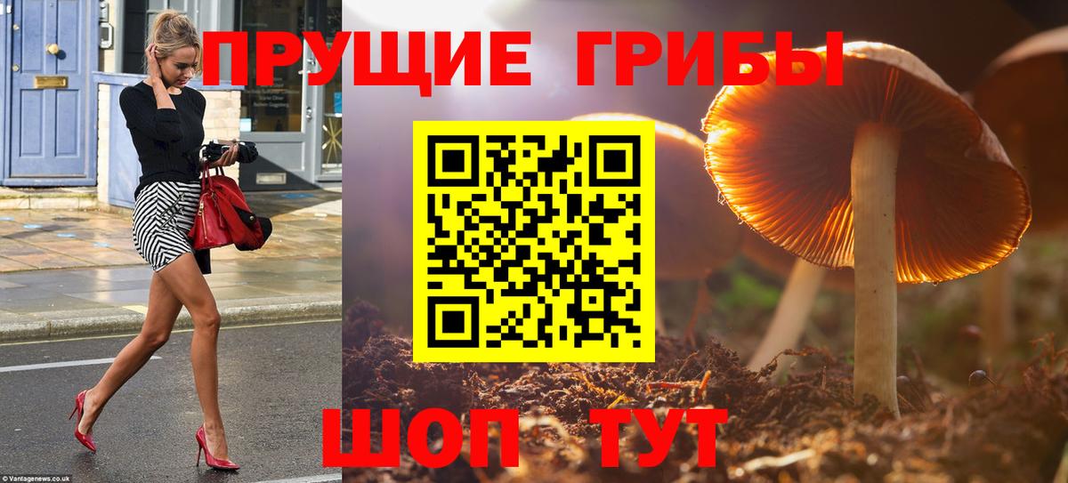 Архангельск  Псилоцибиновые грибы мицелий  Вход с VPN 